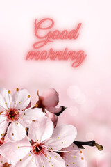 Beautiful Good morning wallpaper with flowers