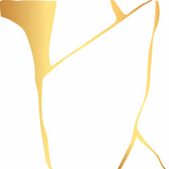 Gold kintsugi crack vector card on white background. Golden texture.