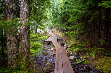 Elevated boardwalk path along western edge of Jordan Pond in Acadia National Park, Maine, USA