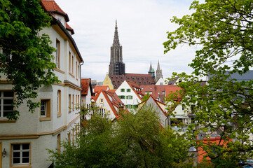 Fototapeta premium a scenic view over the roofs of the old historic Ulm City with Ulm Minster in the background (Germany)