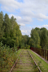 Obraz premium rusty rails of abandoned railway on the old bridge surrounded by forest
