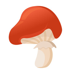 Vector drawing of a red mushroom with a skirt. Toadstool mushroom. Autumn theme. Red mushroom isolated on white background.