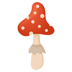 Vector drawing of a red mushroom with white spots and a skirt. Toadstool mushroom. Red mushroom isolated on white background.