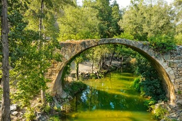 bridge in the park