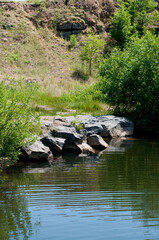 river in the forest