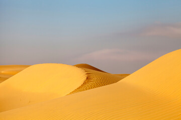 Fototapeta na wymiar Liwa desert in the United Arab Emirates