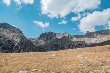 landscape and rock in the mountains