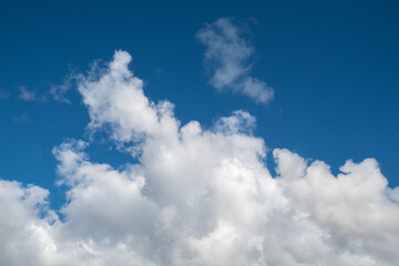 Naklejka na ściany i meble White lush clouds against a bright blue sky.