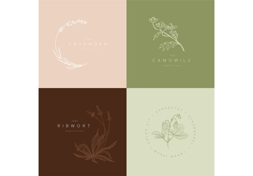 Green and Brown Minimalist Floral Logo Title Frames Collection
