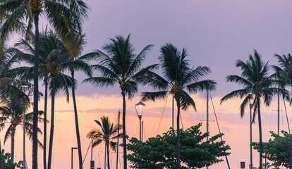 Fototapeta na wymiar Sundown on Waikiki