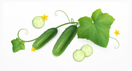 Cucumber Flowers Realistic Composition