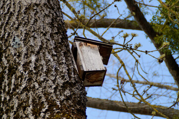 a bird house nailed to a tree