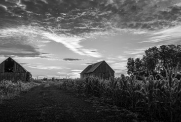 old barn in the field