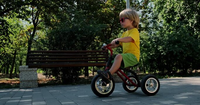 Playful little child with sunglasses in bright clothes rides red tricycle past bushes and bench in sunny park on summer day