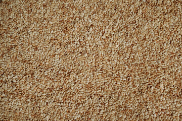 Toasted white sesame seeds. Full screen top view