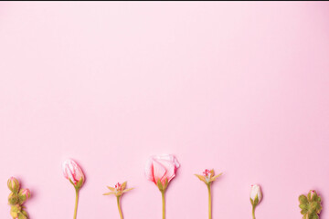 Pink background with flowers, minimalist concept