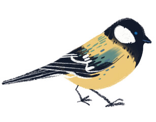 Tit bird illustration