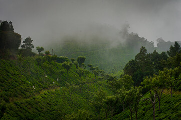 Beautiful Indian Village, Located in Tamil Nadu near Ooty