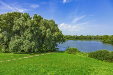 River landscape with bright green trees on a sunny summer day