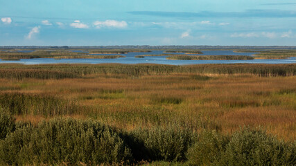 Lubana wetland, nature reserve, Latvia