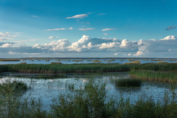 Lubana wetland, nature reserve, Latvia