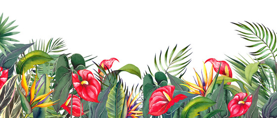 Horizontal border with tropical anthurium, strelitzia flowers and palm leaves. Watercolor illustration on white background.