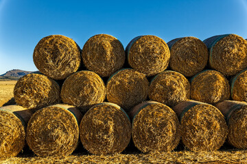 Circular bales of hay stacked three high © geoffsp
