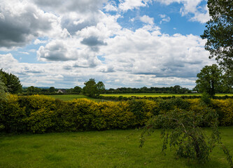 Fototapeta na wymiar Countryside view view of green landscape in Kilkenney, Ireland