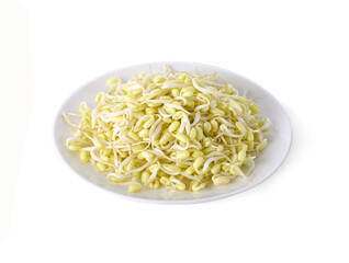 Bean Sproutsisolated on white background