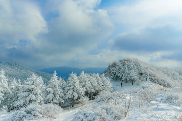 지리산 바래봉가는 능선에서