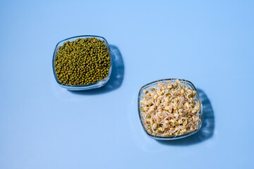 Mung bean and mung bean sprouts