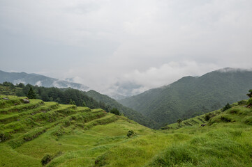 Fototapeta premium The mountain was filled with fog, and in front of the mountain were green fields
