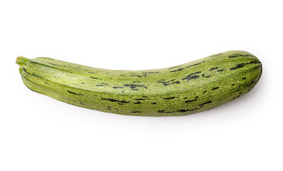 Long green zucchini in a speck on a white background. Studio photography