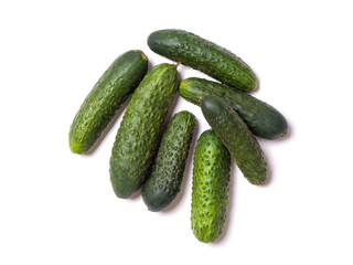 Green fresh cucumbers on a white background. Studio photography