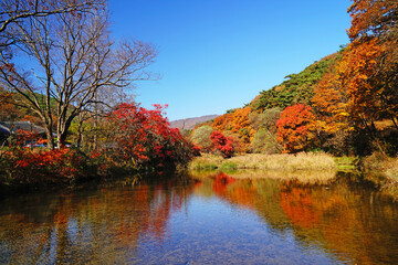 단풍으로 물든 산