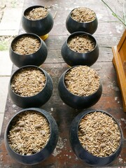 Close up animal food in plastic bowl