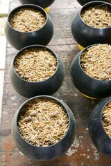 Close up animal food in plastic bowl