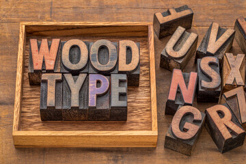 wood type word abstract in vintage letterpress printing blocks with a box, printing and craftsmanship concept