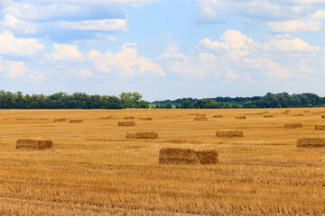 Obraz premium Rectangular straw bales on a field after the grain harvest