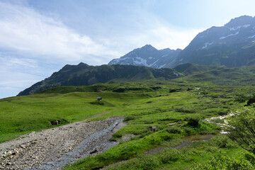 Panoramic view of relaxing mountain scenery with mountains in the background and meadow, grass, and rocks on a nice, sunny day