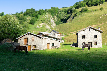 Fototapeta na wymiar An accommodation on a way the way of trekking around Mount Blanc in the Alps. horses eating grass