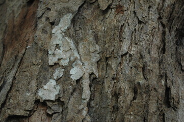 texture