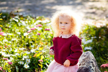 A little girl with light curly hair on a flower bed with blooming pink and white flowers in sunny weather. A child in a burgundy sweater in the park.