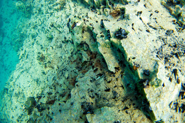 フィリピン、パラワン州のブスアンガ島コロン島に沈没している日本の沈没船をダイビングで撮影した写真 Photo taken by diving of a Japanese sunken ship sinking on Coron Island, Busuanga, Palawan, Philippines. 