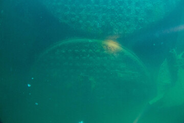 フィリピン、パラワン州のブスアンガ島コロン島に沈没している日本の沈没船をダイビングで撮影した写真 Photo taken by diving of a Japanese sunken ship sinking on Coron Island, Busuanga, Palawan, Philippines. 