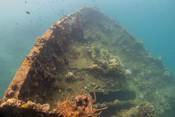 Naklejka na ściany i meble フィリピン、パラワン州のブスアンガ島コロン島に沈没している日本の沈没船をダイビングで撮影した写真 Photo taken by diving of a Japanese sunken ship sinking on Coron Island, Busuanga, Palawan, Philippines. 