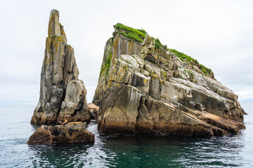 Rock formations with Seals in Aialik Bay of Kenai Fjords National Park, Alaska