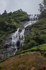 water fall in the middle of the tea plantation