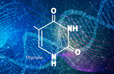 Chemical structural formula of thymine - DNA and RNA nitrogen base