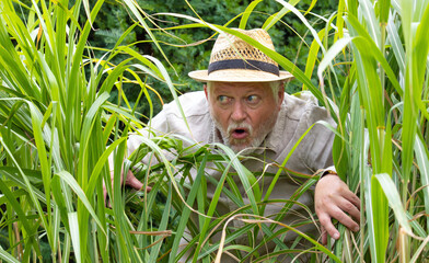 Ein neugieriger Mann schleicht durch hohes Gras. Er ist vorsichtig und beobachtet.